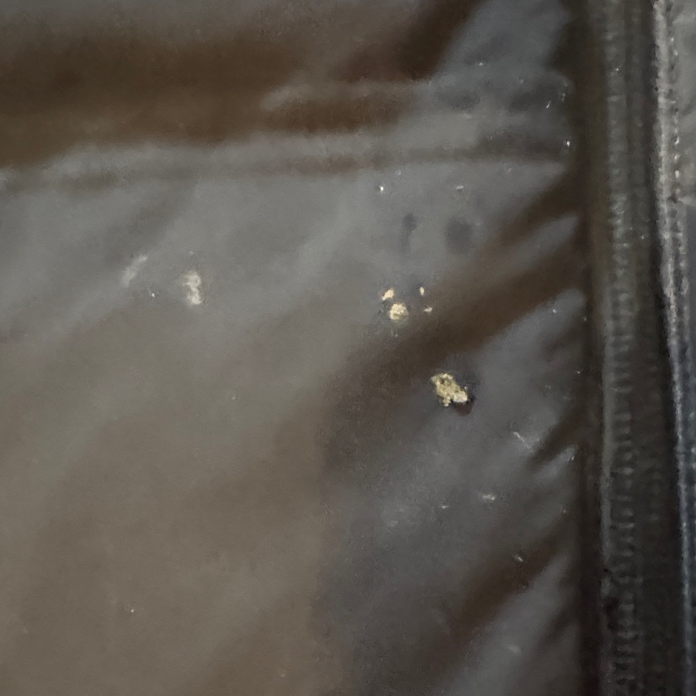 Patagonia Jackson Large Down Jacket - image 3